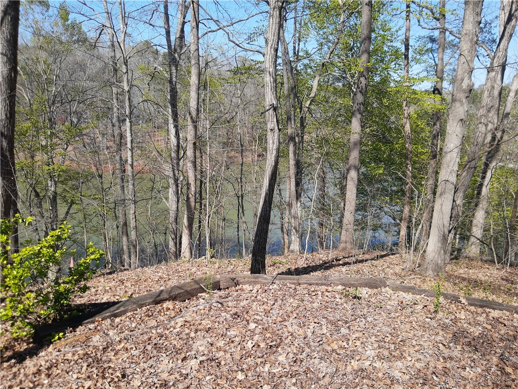 Lot 6 Lost Forest Drive, Westminster, South Carolina image 19