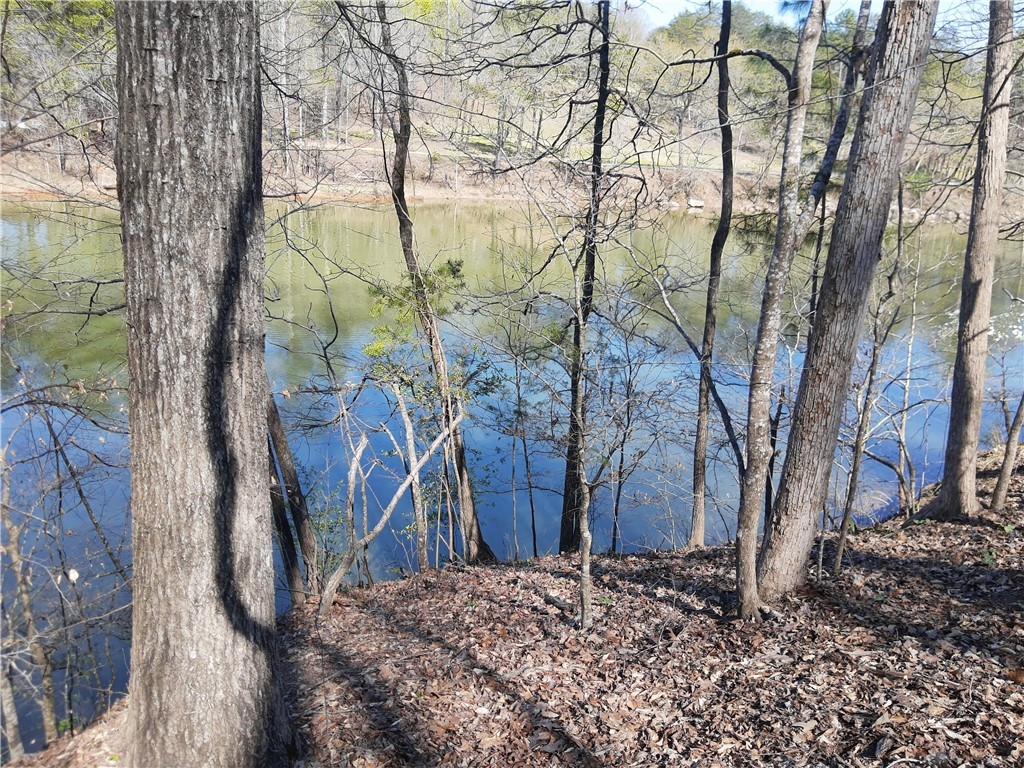 Lot 6 Lost Forest Drive, Westminster, South Carolina image 2