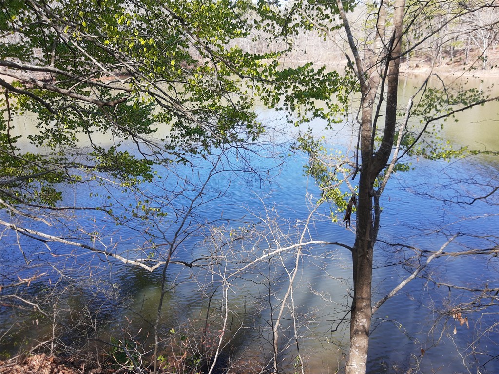 Lot 6 Lost Forest Drive, Westminster, South Carolina image 8