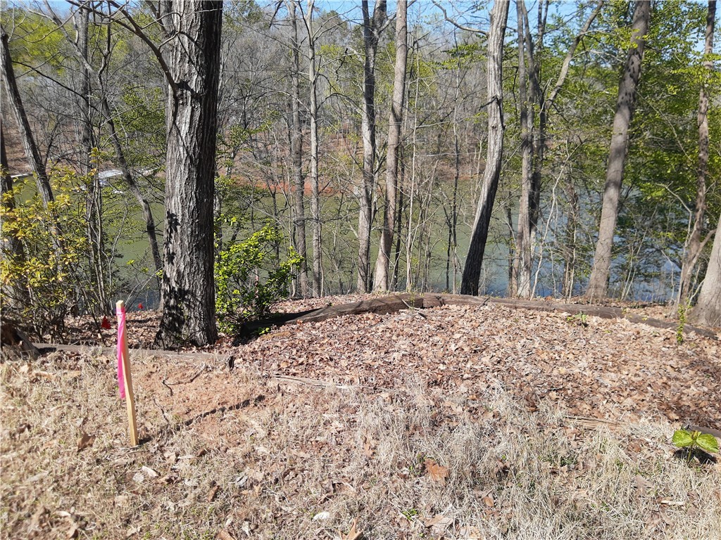 Lot 6 Lost Forest Drive, Westminster, South Carolina image 17