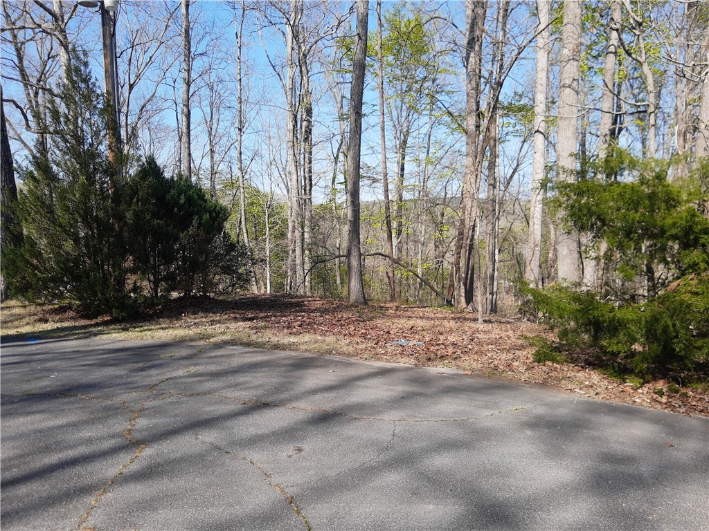 Lot 6 Lost Forest Drive, Westminster, South Carolina image 21