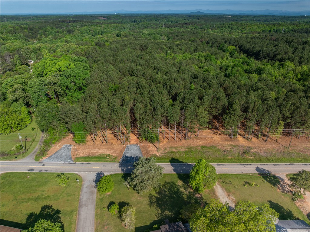 12 Moorefield Memorial Highway, Liberty, South Carolina image 9