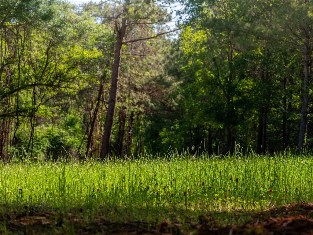 12 Moorefield Memorial Highway, Liberty, South Carolina image 31