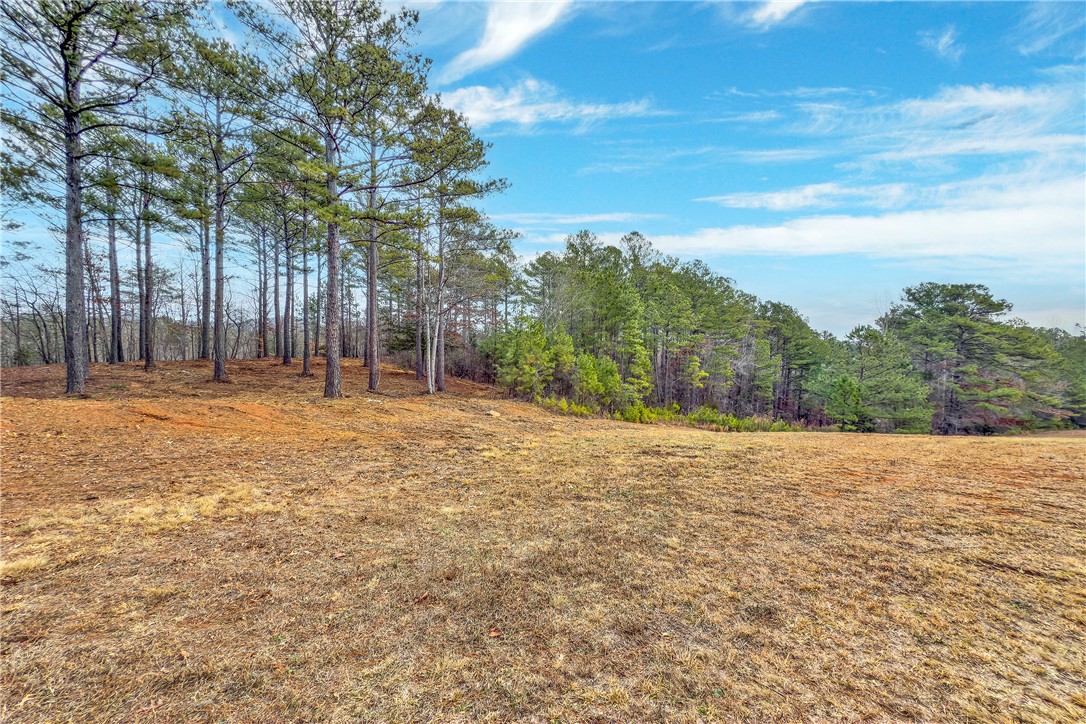 321 Golden Bear Drive, Sunset, South Carolina image 3