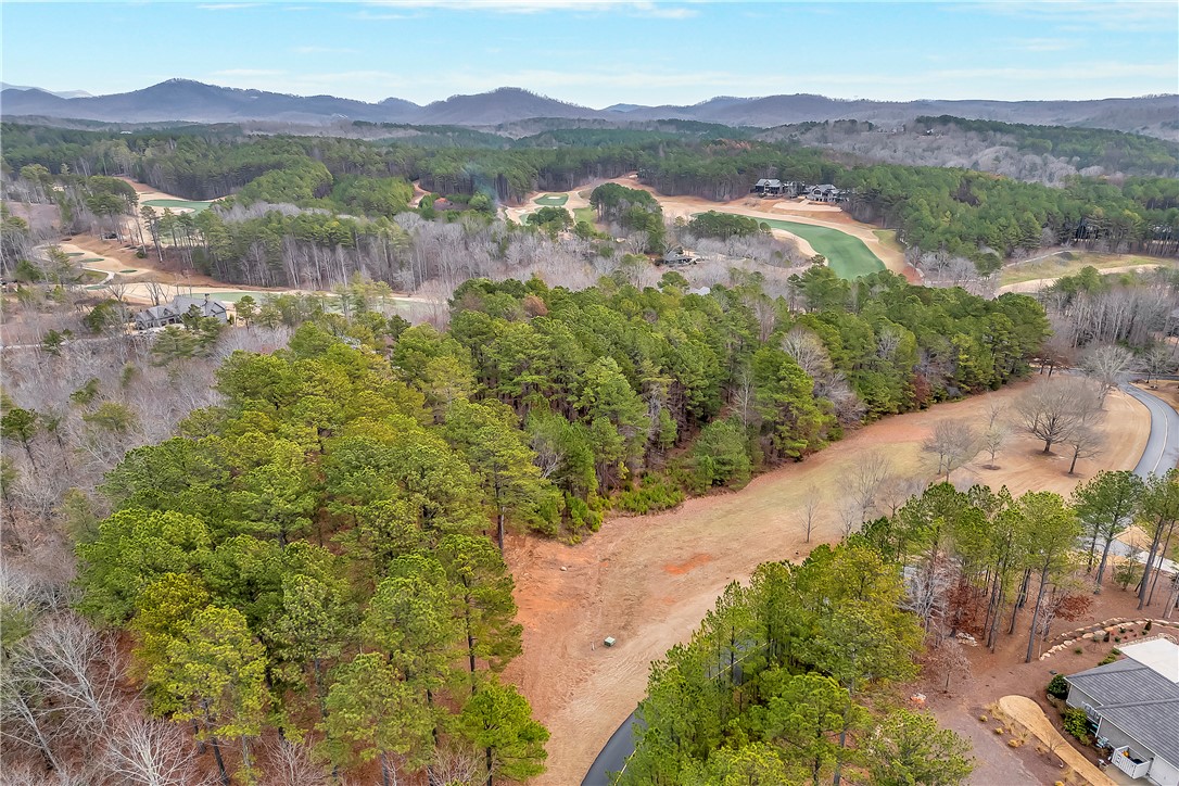 321 Golden Bear Drive, Sunset, South Carolina image 4