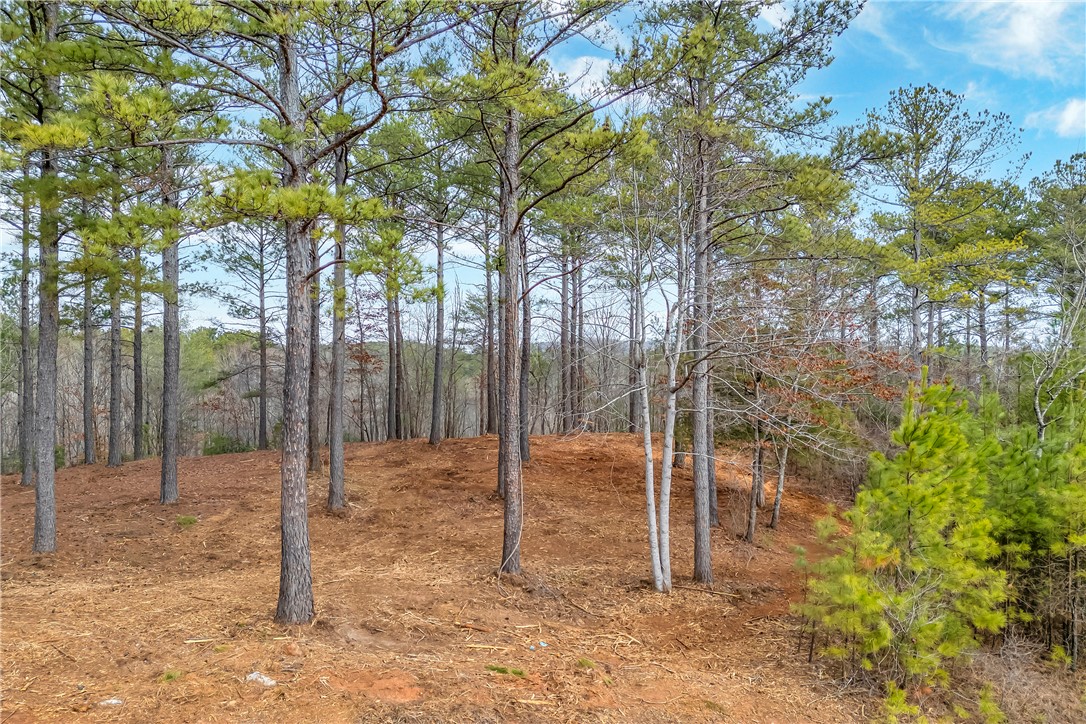 321 Golden Bear Drive, Sunset, South Carolina image 1