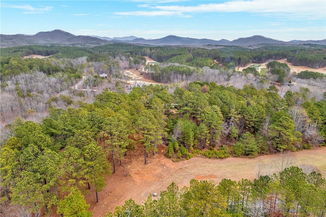 321 Golden Bear Drive, Sunset, South Carolina image 5