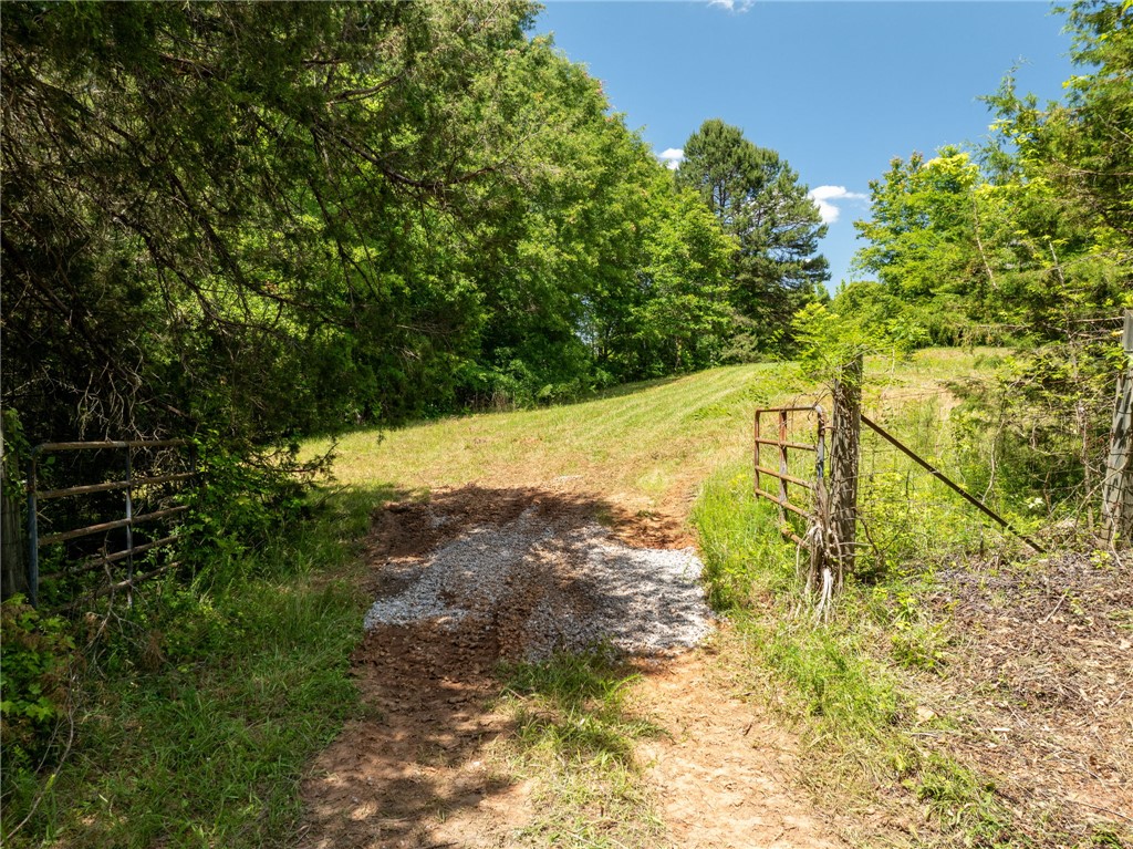 00 Boyce Page Road, Honea Path, South Carolina image 15