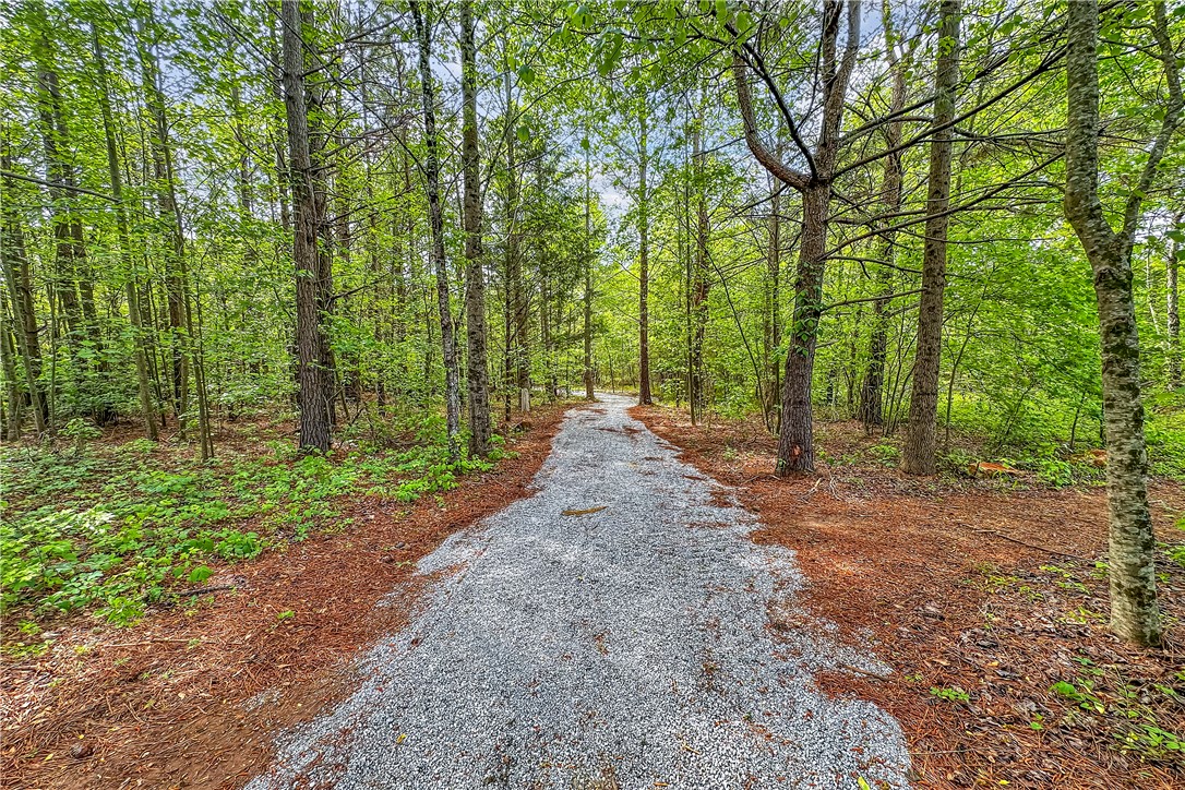 114 James Lake Way, Easley, South Carolina image 28