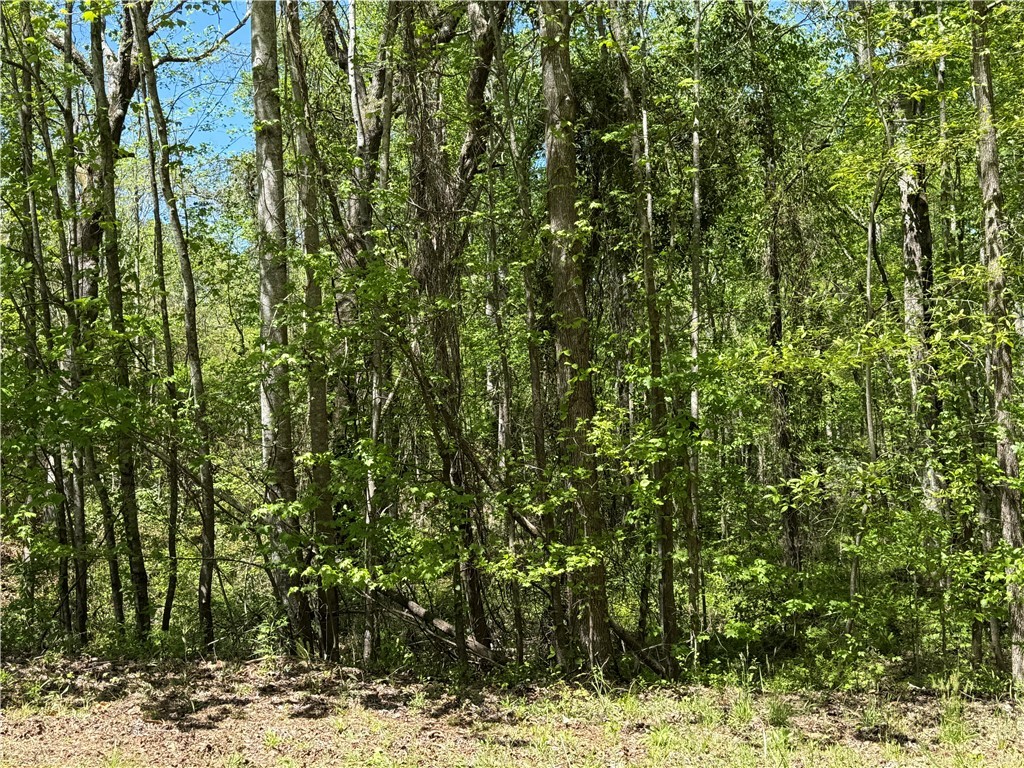 125 Breckenridge Drive, Six Mile, South Carolina image 1