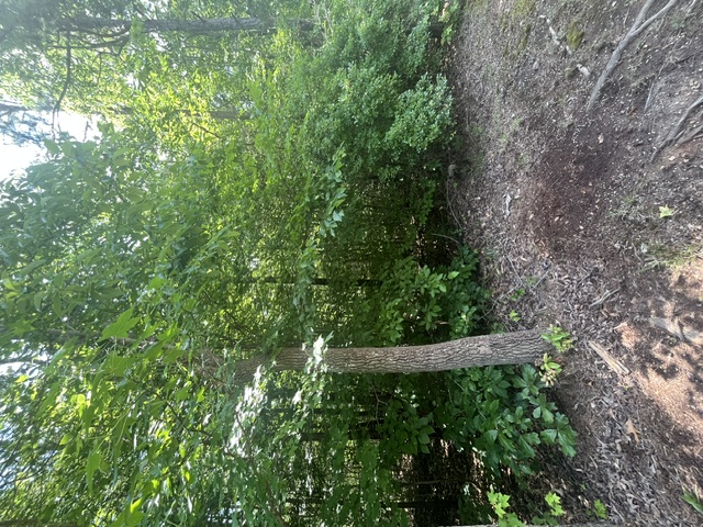 Photo 1 of 11 — 0 Point Road, Westminster, SC 29693