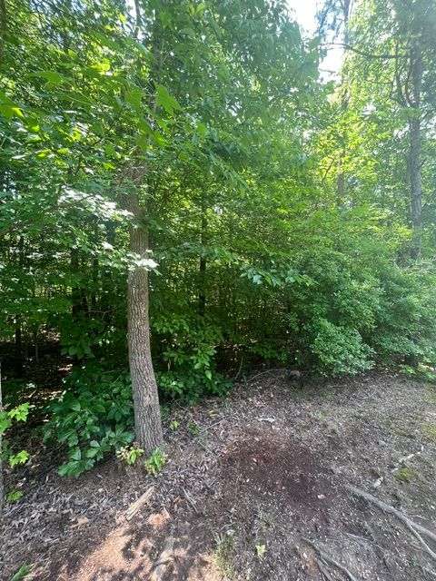 Vacant Land For Sale - Point Road<br/> Westminster, SC 29693