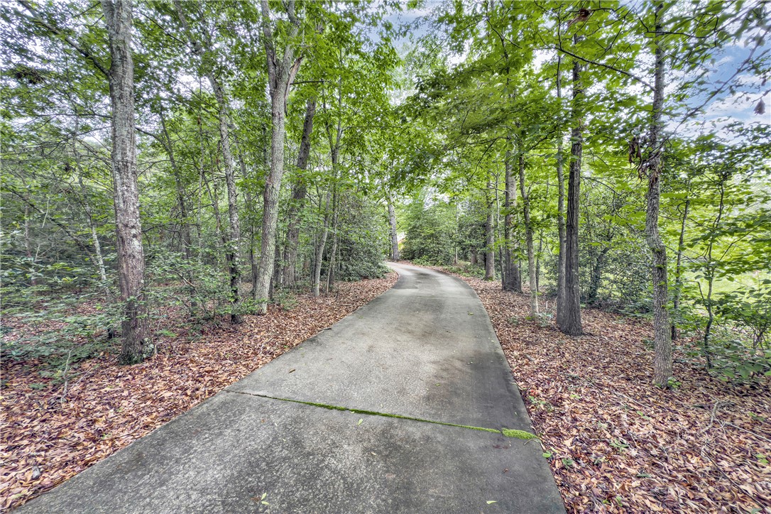 101 Dove Hill Court, Easley, South Carolina image 31
