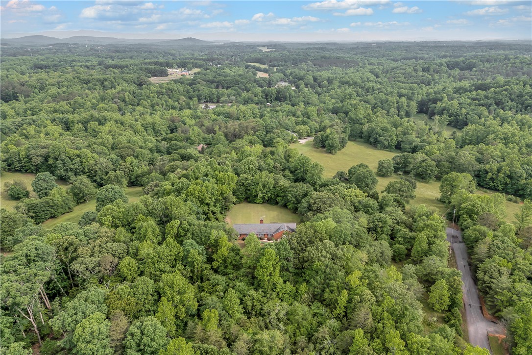 101 Dove Hill Court, Easley, South Carolina image 35