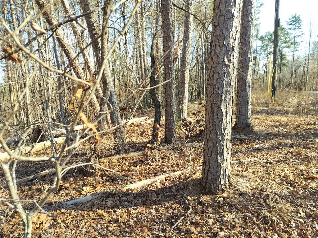 343 Beech Drive, Westminster, South Carolina image 6