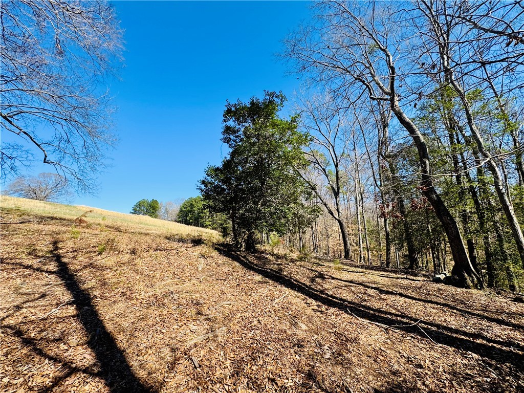 212 Holland Ford Road, Pelzer, South Carolina image 44