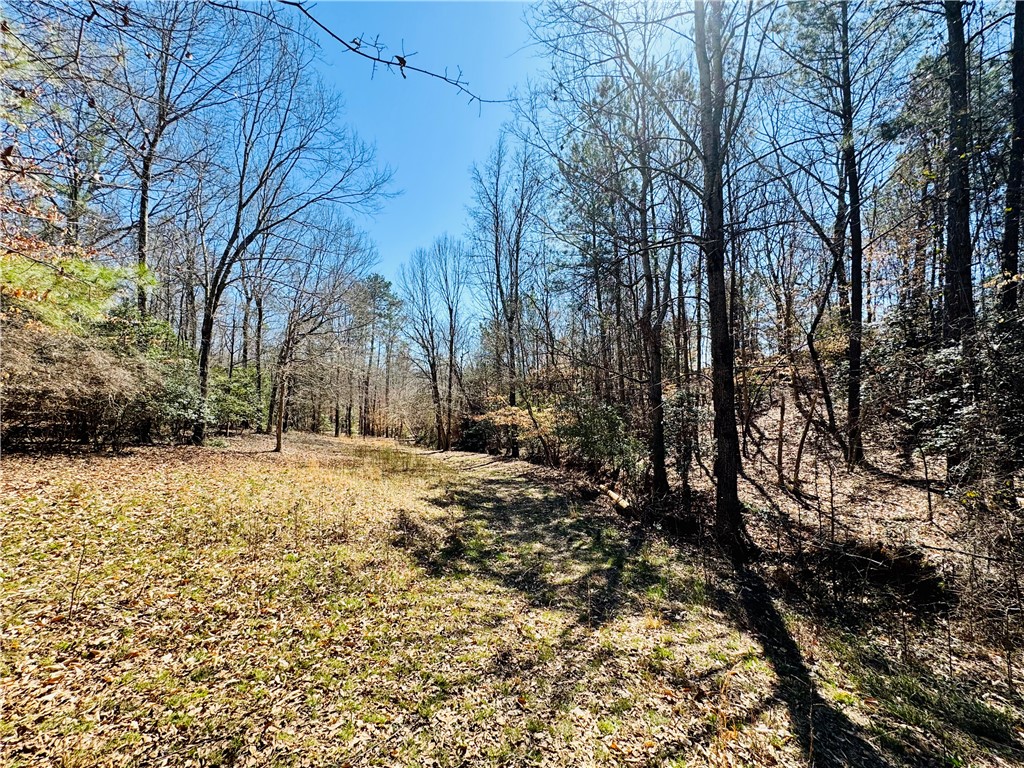 212 Holland Ford Road, Pelzer, South Carolina image 43