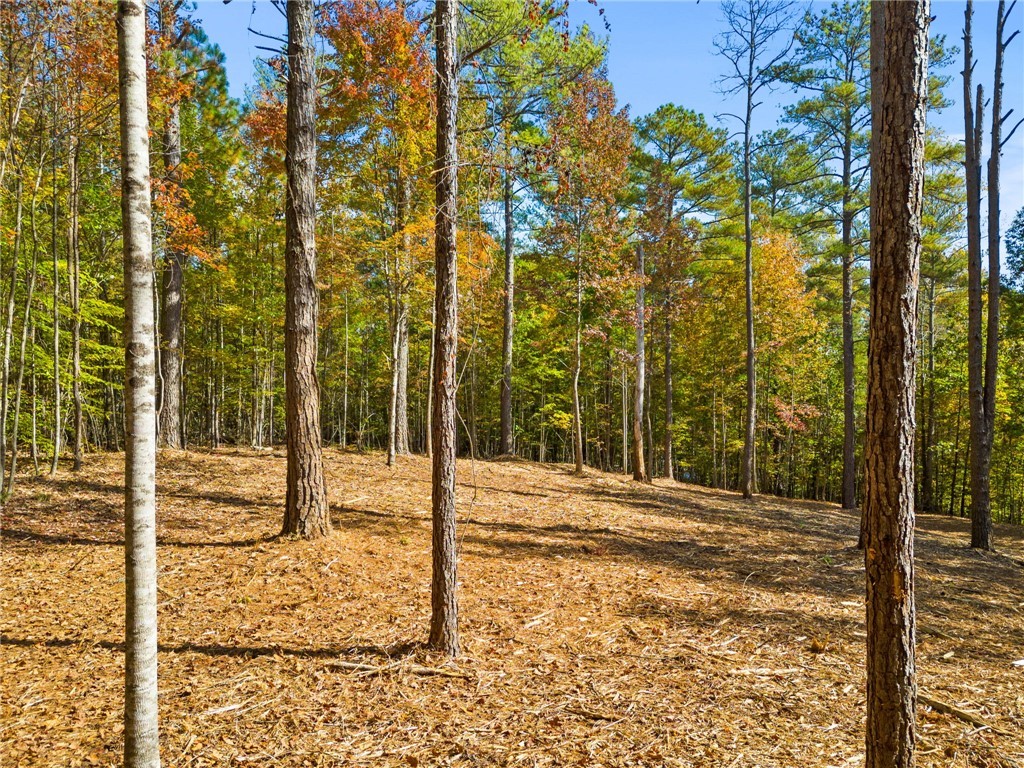 000000 Nimmons Bridge Road, Salem, South Carolina image 5