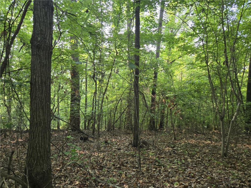 Lot 356 E Laurel Drive, Westminster, South Carolina image 14