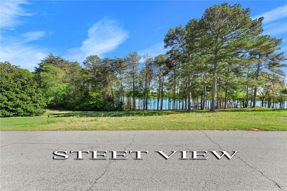 Pointe Sidney Drive #LOT 9, Hartwell, Georgia image 8