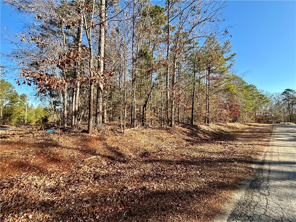 41 Third Avenue, Iva, South Carolina image 6