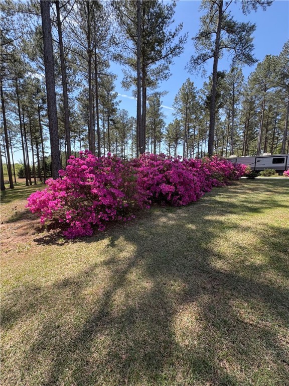 655 E Halfway Branch Road, West Union, South Carolina image 28