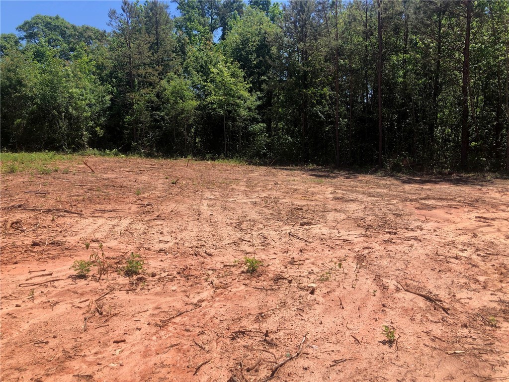 413 Highway, Iva, South Carolina image 3