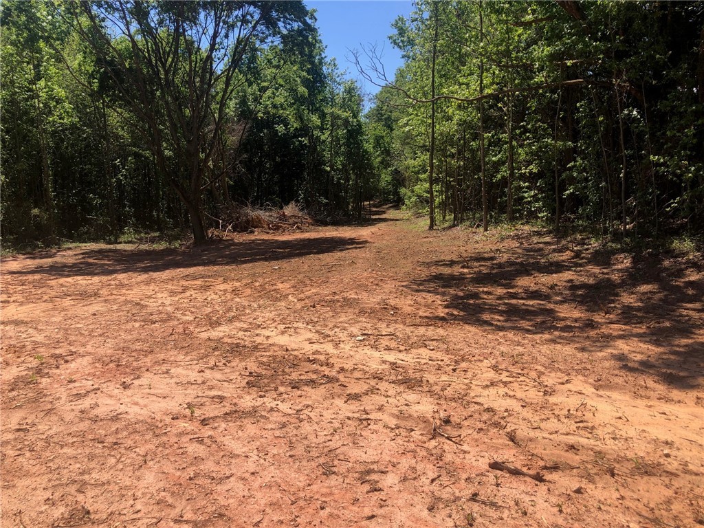 413 Highway, Iva, South Carolina image 4