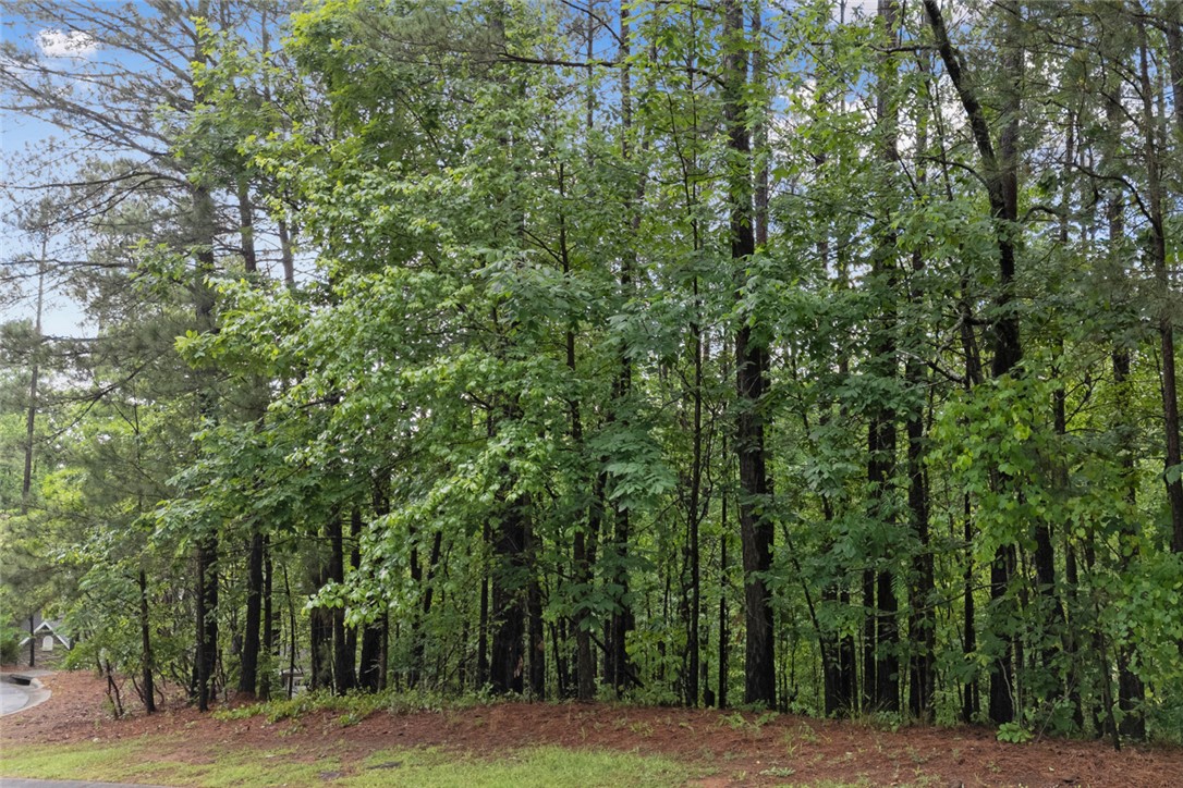 Lot 29 Waterford W Rockcliff Court, Seneca, South Carolina image 2