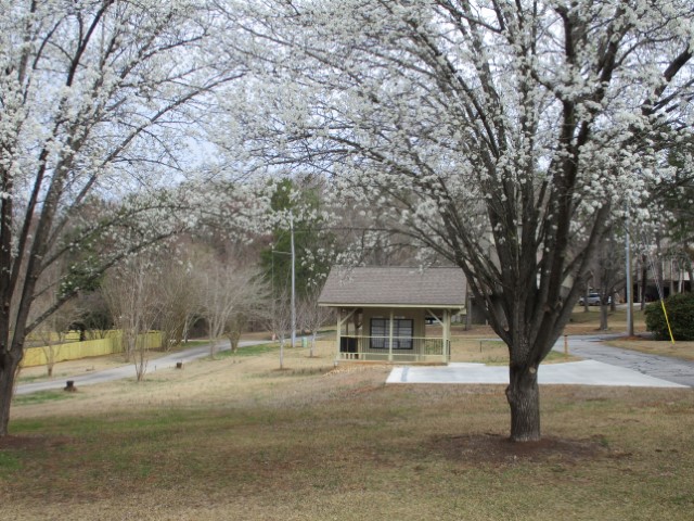 251 Cherokee Drive, Fair Play, South Carolina image 37