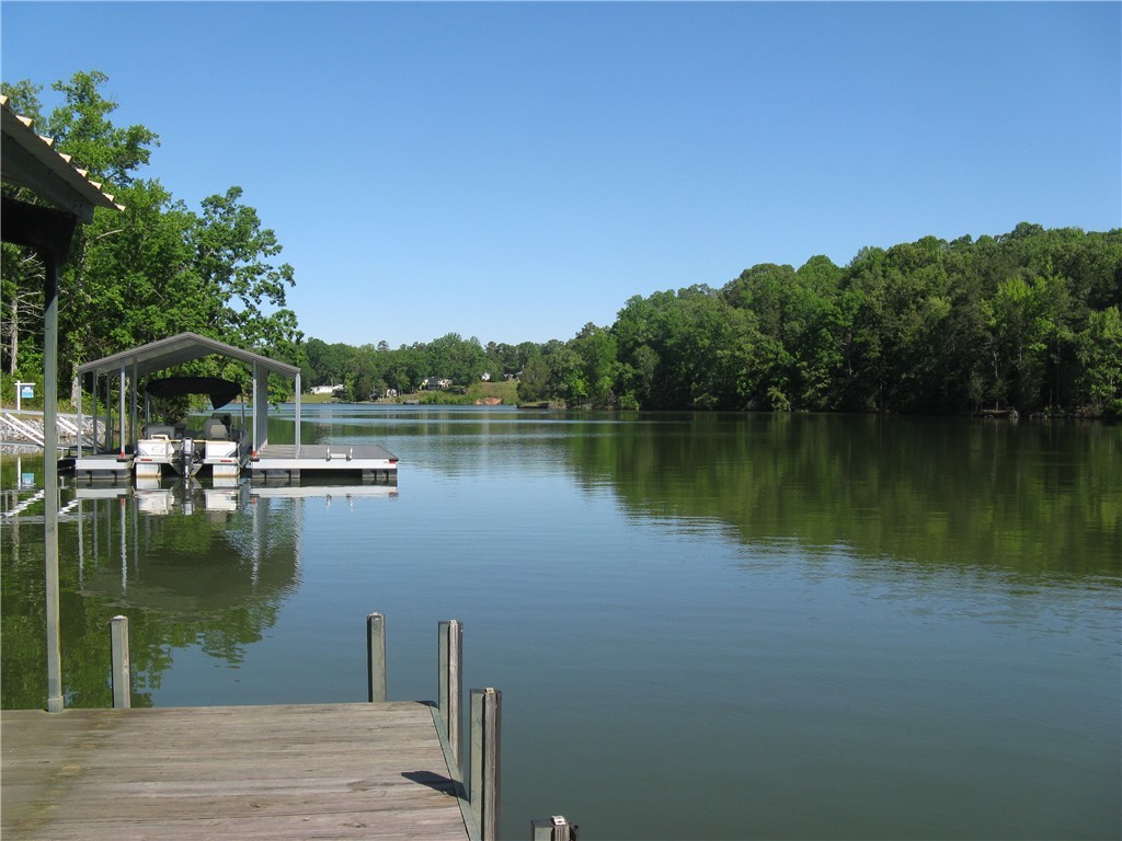 411 Black Road, Abbeville, South Carolina image 5
