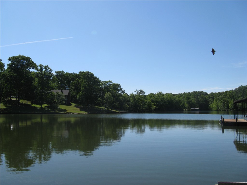411 Black Road, Abbeville, South Carolina image 4