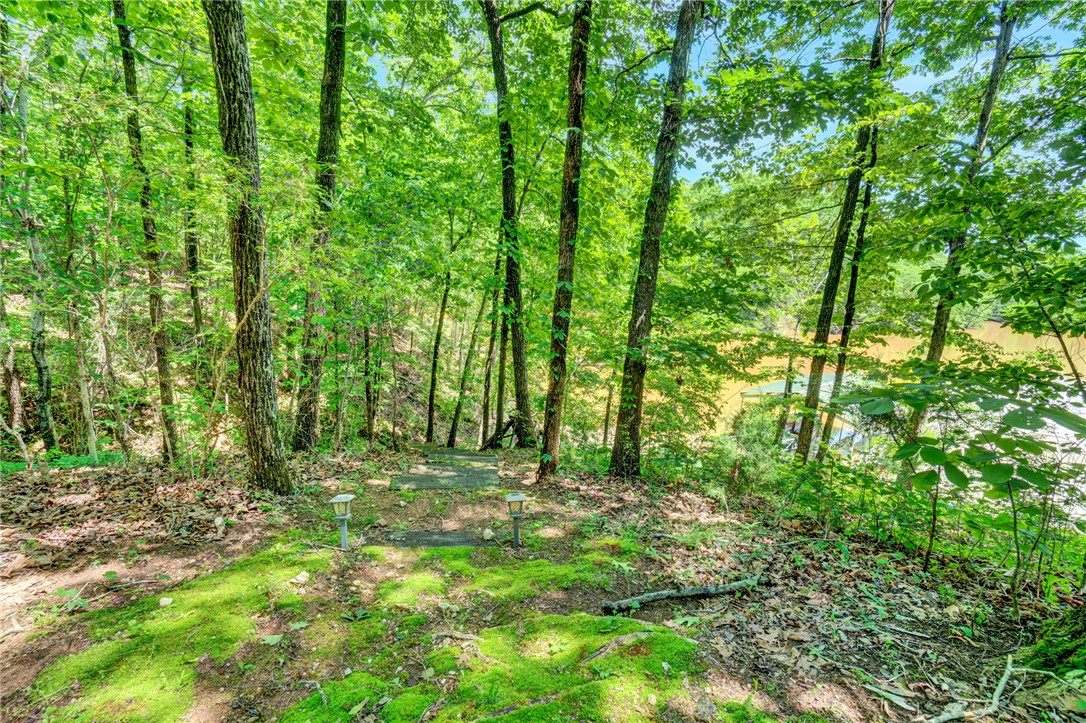 116 Deerfield Lane, Seneca, South Carolina image 36