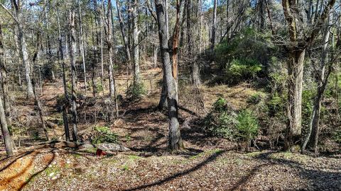 Vacant Land For Sale - 00 Cedar Grove Road<br/> Townville, SC 29689