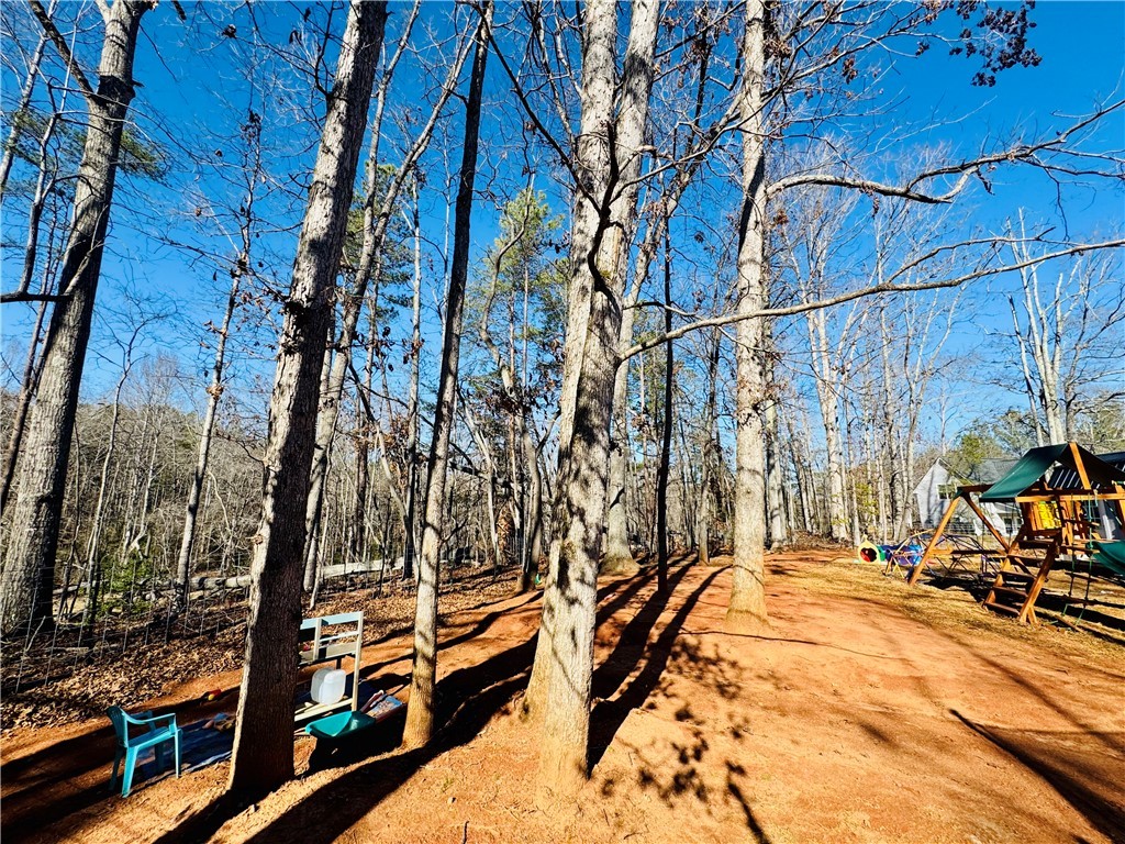 139 Camelot Drive, Belton, South Carolina image 41