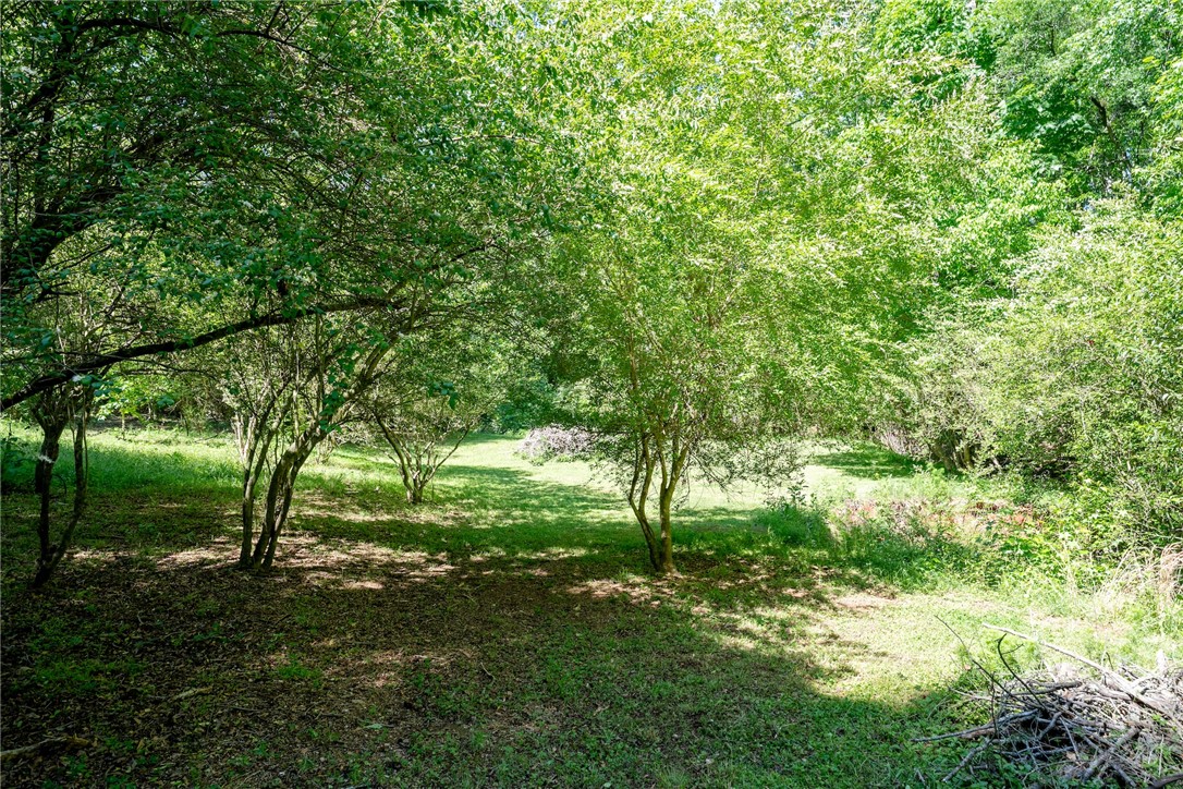 135 Boxwood Lane, Anderson, South Carolina image 38