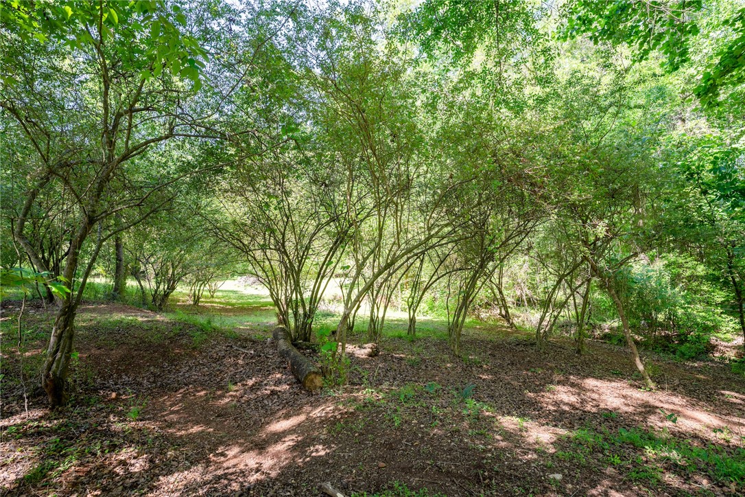 135 Boxwood Lane, Anderson, South Carolina image 37