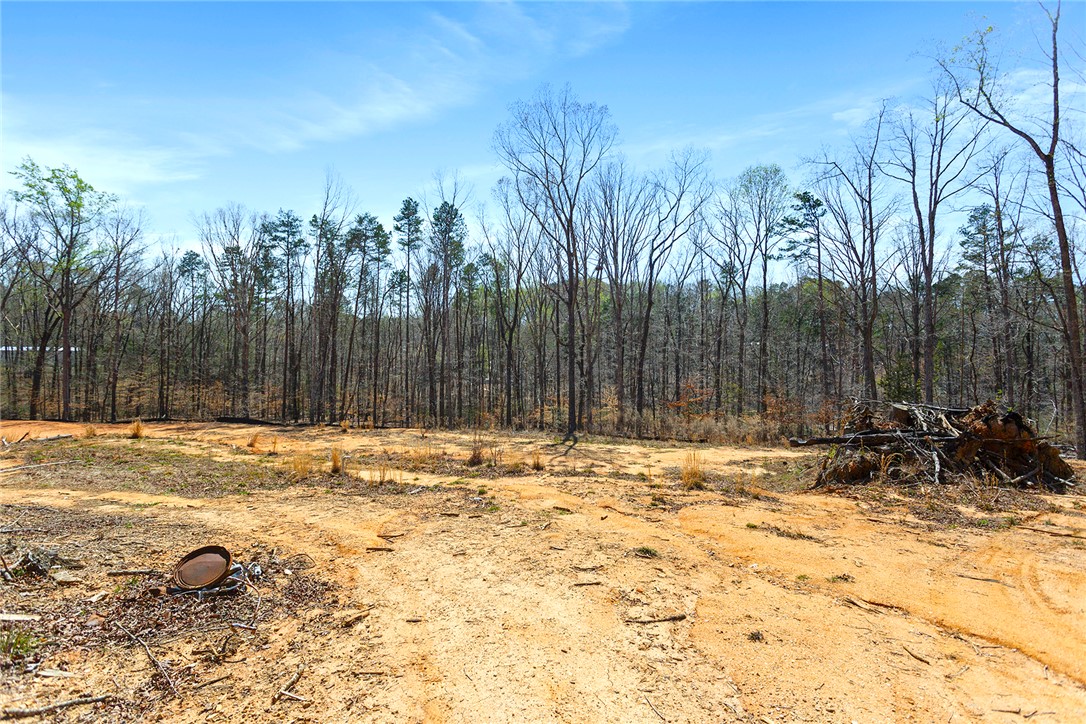605 Elizabeth Road, Westminster, South Carolina image 21