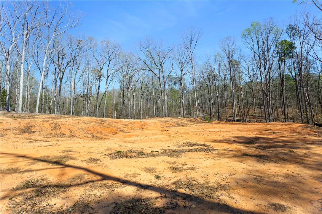 605 Elizabeth Road, Westminster, South Carolina image 28