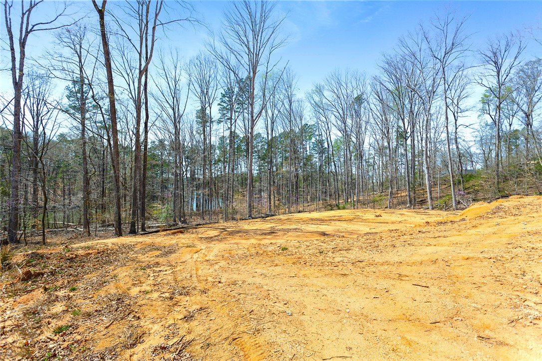 605 Elizabeth Road, Westminster, South Carolina image 15