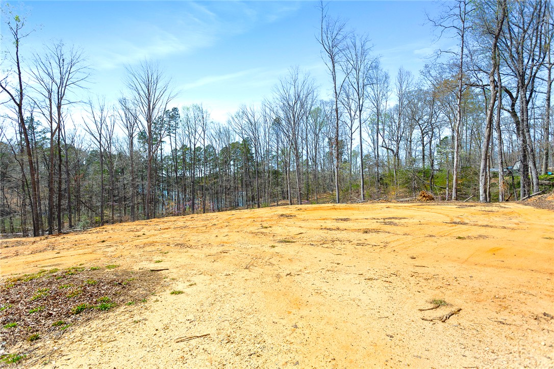 605 Elizabeth Road, Westminster, South Carolina image 13
