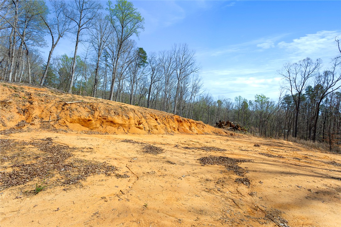 605 Elizabeth Road, Westminster, South Carolina image 18