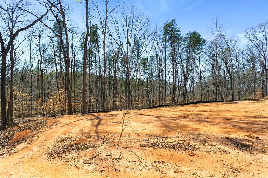 605 Elizabeth Road, Westminster, South Carolina image 27