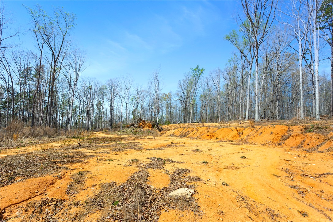 605 Elizabeth Road, Westminster, South Carolina image 19