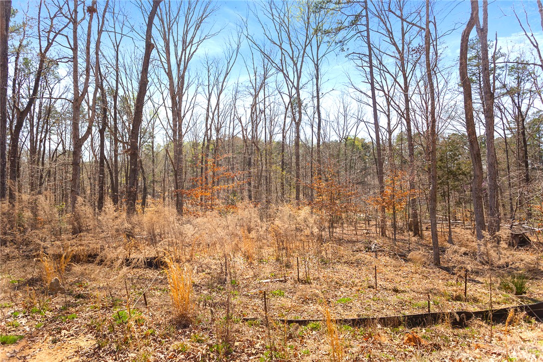 605 Elizabeth Road, Westminster, South Carolina image 20