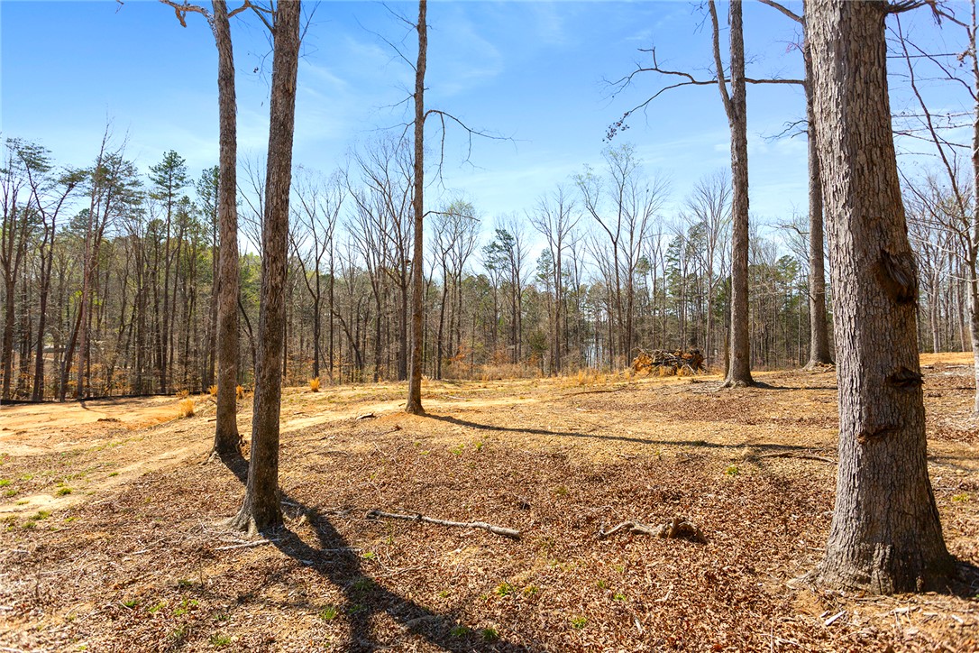 605 Elizabeth Road, Westminster, South Carolina image 22