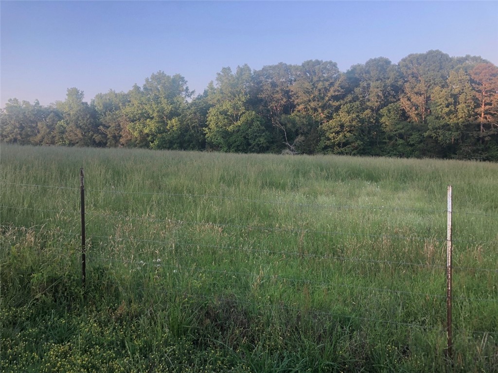 Joyo Road, Iva, South Carolina image 2