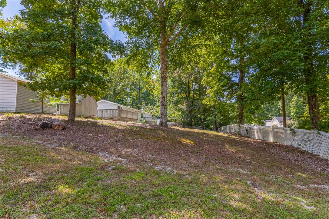 422 Meadows Lane, Townville, South Carolina image 26
