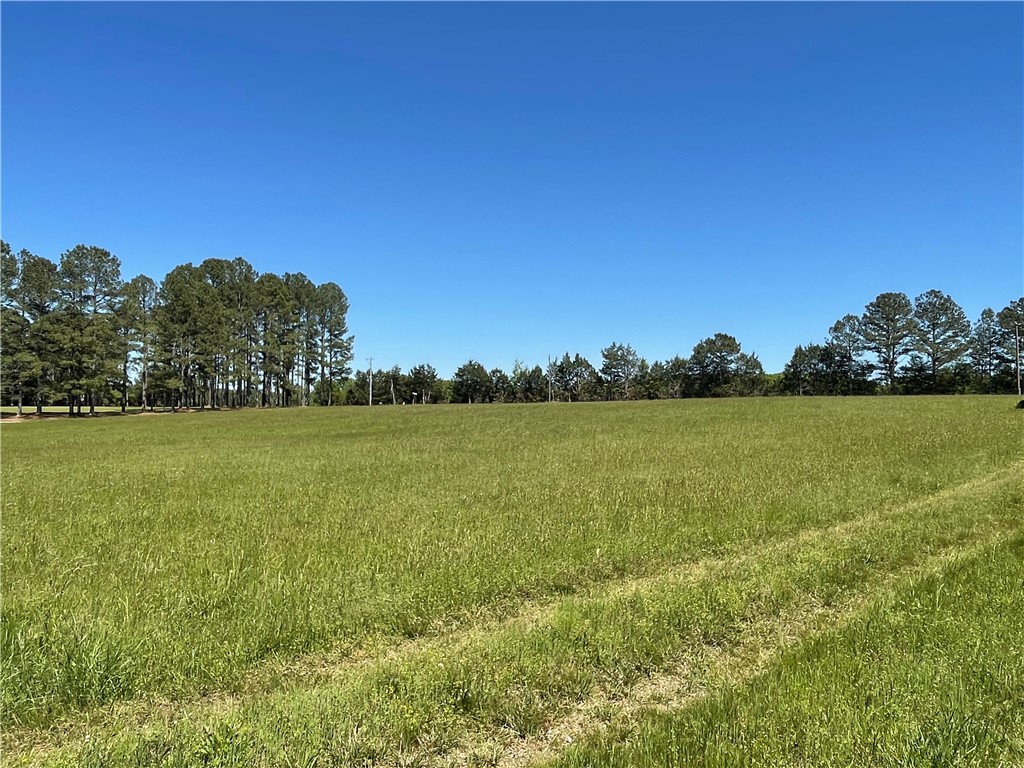 440 Mt. Carmel Road, Abbeville, South Carolina image 17