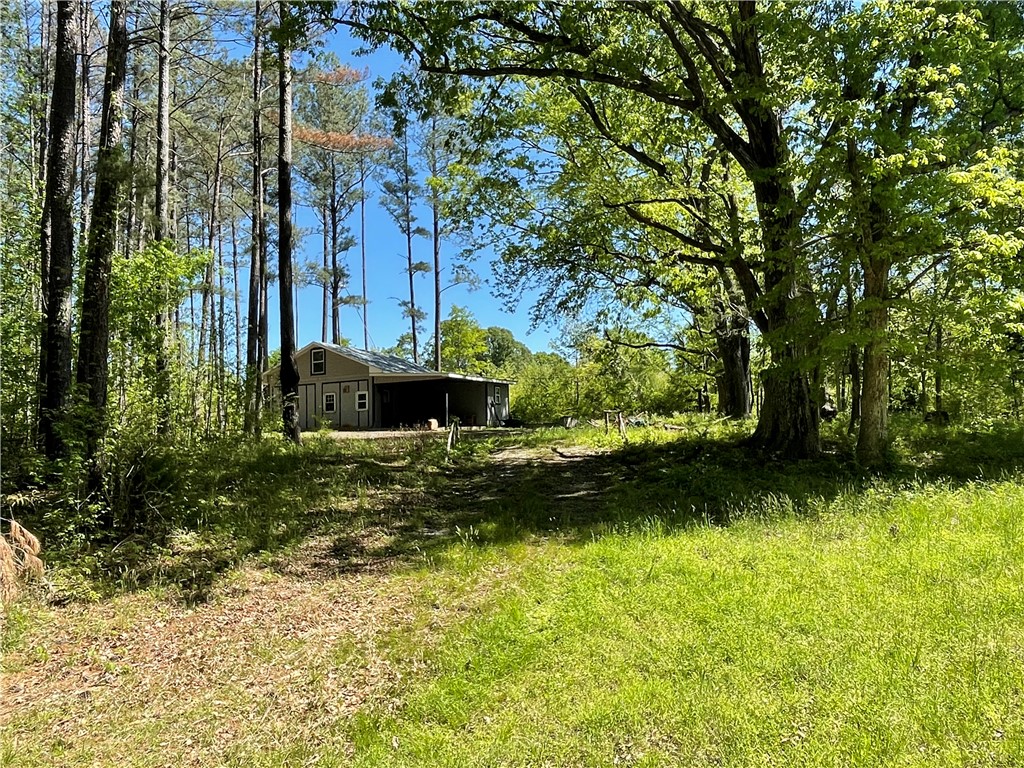 440 Mt. Carmel Road, Abbeville, South Carolina image 6
